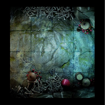 Chambre des Champignons